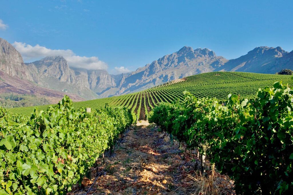 South-Africa